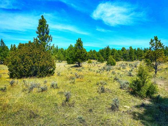 150 Acres of Agricultural Land for Sale in Upton, Wyoming