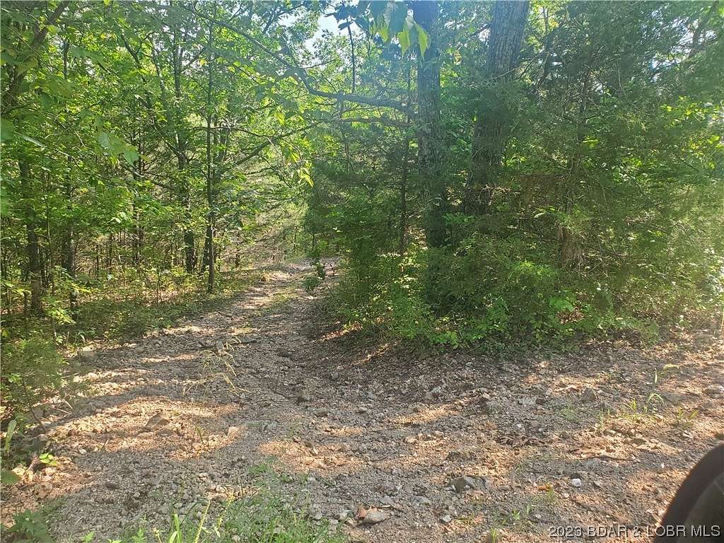 17 Acres of Land for Sale in Warsaw, Missouri