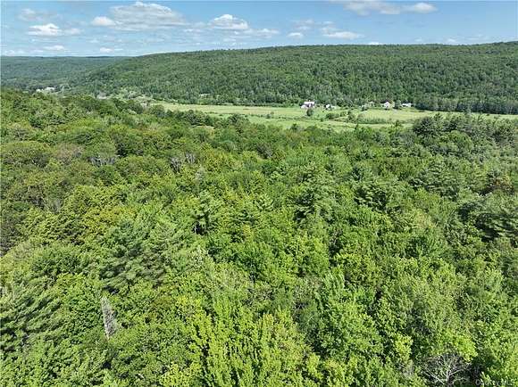 5 Acres of Mixed-Use Land for Sale in Conesville, New York