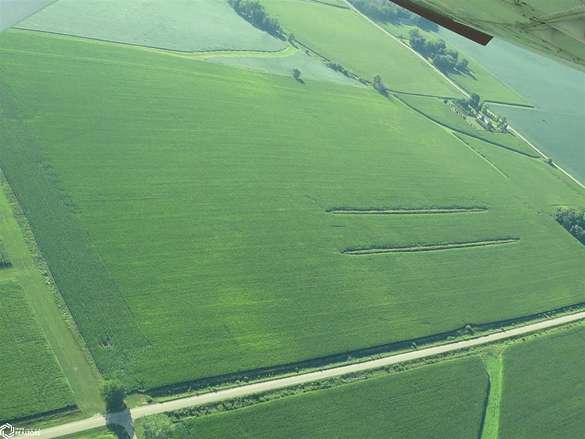 74.97 Acres of Agricultural Land for Sale in Grundy Center, Iowa