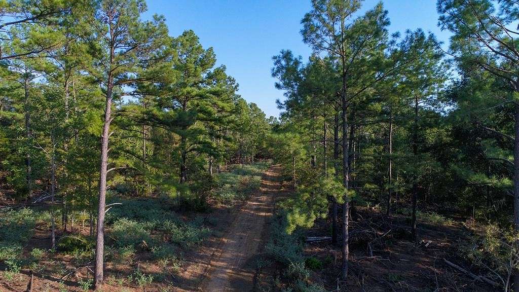 81.8 Acres of Recreational Land for Sale in Elkhart, Texas