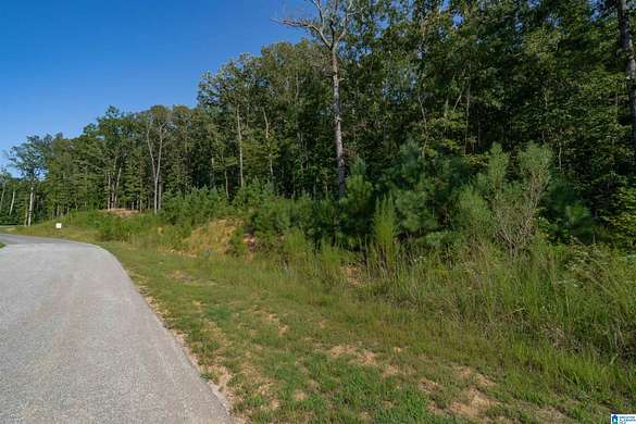 2.7 Acres of Residential Land for Sale in Chelsea, Alabama