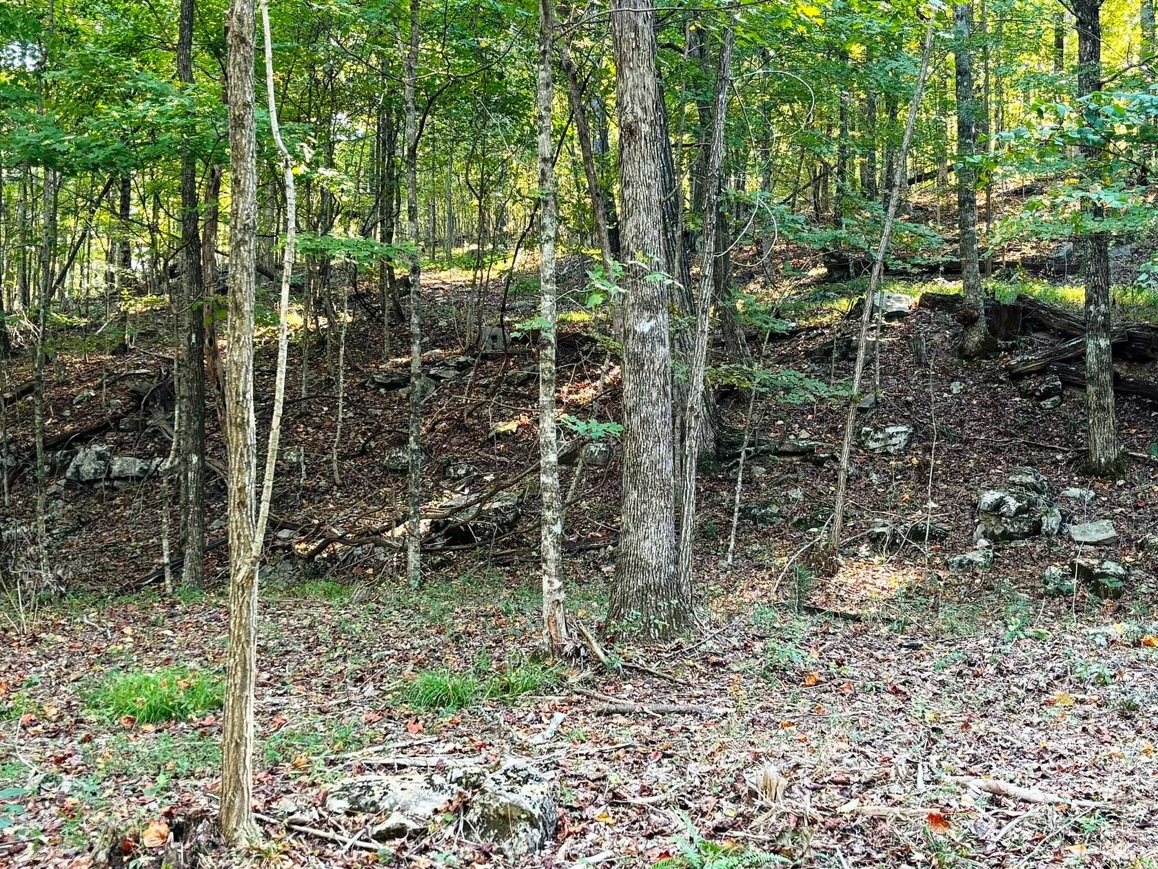 50 Acres of Recreational Land for Sale in Huntland, Tennessee