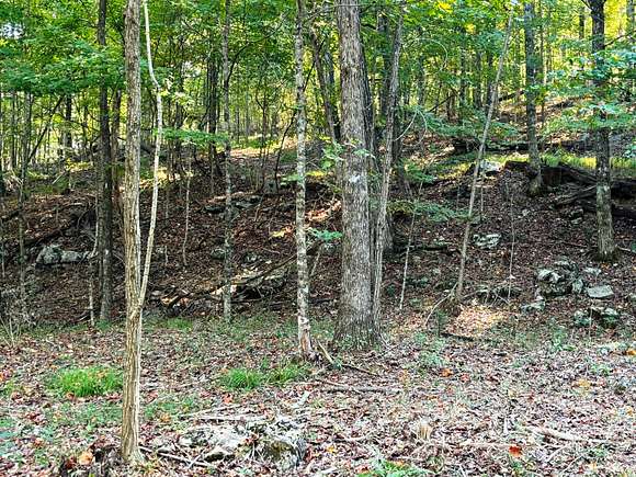 50 Acres of Recreational Land for Sale in Huntland, Tennessee