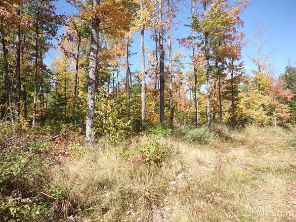 40 Acres of Recreational Land for Sale in Pelkie, Michigan