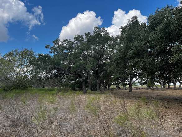 18.16 Acres of Land for Sale in Meyersville, Texas