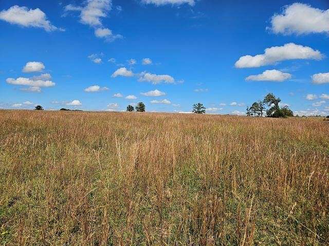20.3 Acres of Agricultural Land for Sale in Mountain Grove, Missouri