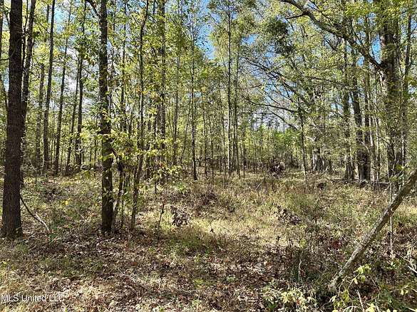 2 Acres of Residential Land for Sale in Edwards, Mississippi