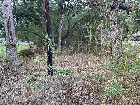 0.69 Acres of Land for Sale in Mingus, Texas