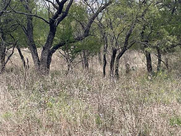 0.5 Acres of Residential Land for Sale in Mingus, Texas
