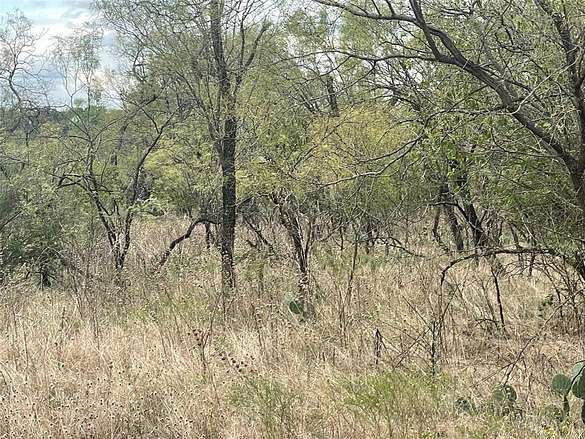 0.4 Acres of Residential Land for Sale in Mingus, Texas