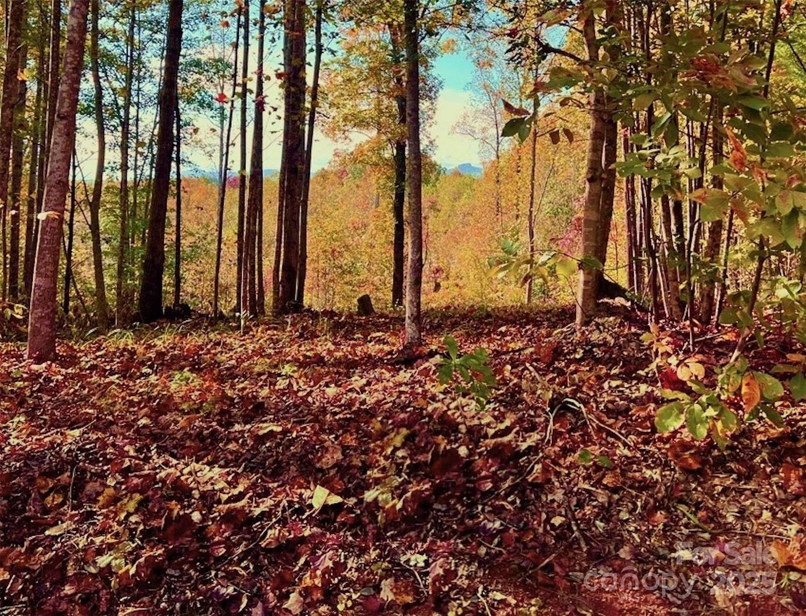 1.85 Acres of Land for Sale in Lenoir, North Carolina