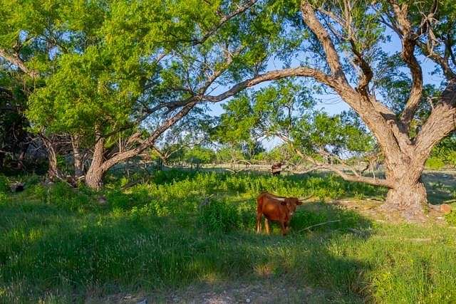 25.2 Acres of Agricultural Land for Sale in Fredericksburg, Texas