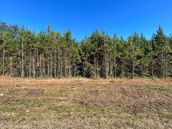 7.5 Acres of Residential Land for Sale in Cottonwood, Alabama