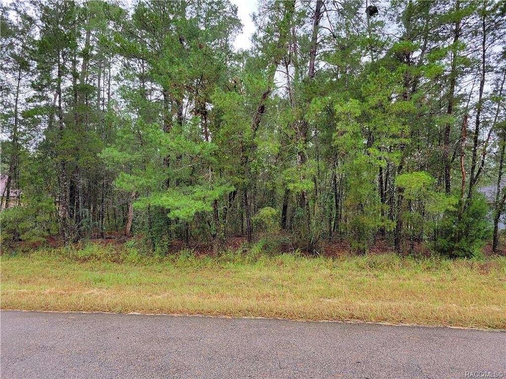 0.34 Acres of Land for Sale in Homosassa, Florida