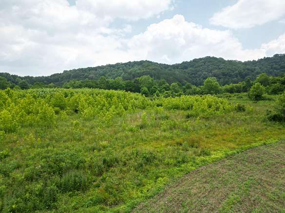 69.9 Acres of Agricultural Land for Sale in Manchester, Kentucky