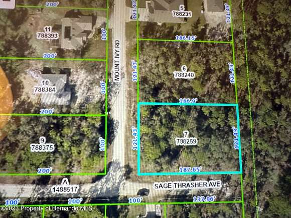 0.52 Acres of Residential Land for Sale in Weeki Wachee, Florida