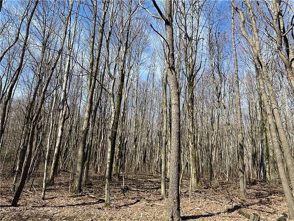 3.9 Acres of Residential Land for Sale in Cook Township, Pennsylvania