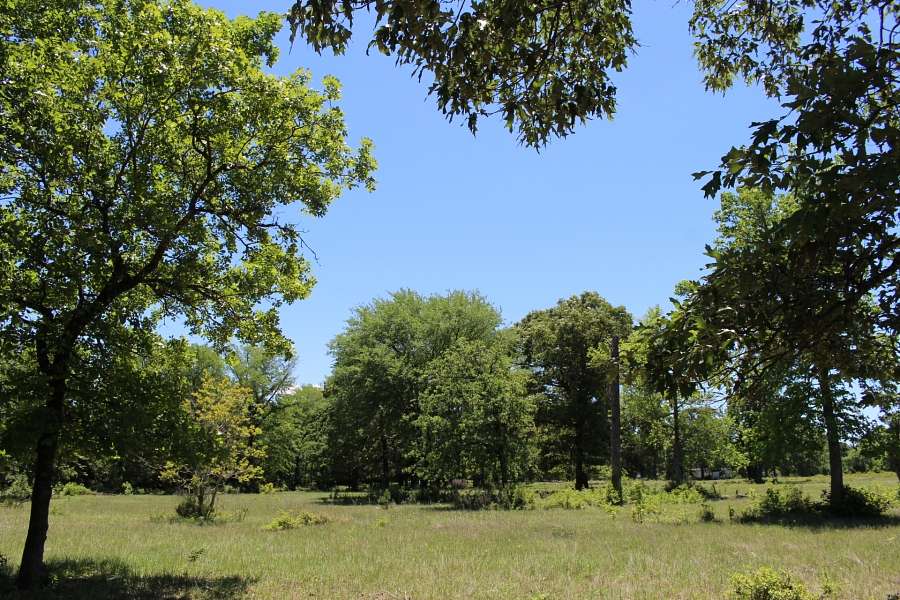 52.9 Acres of Recreational Land for Sale in Montgomery, Texas