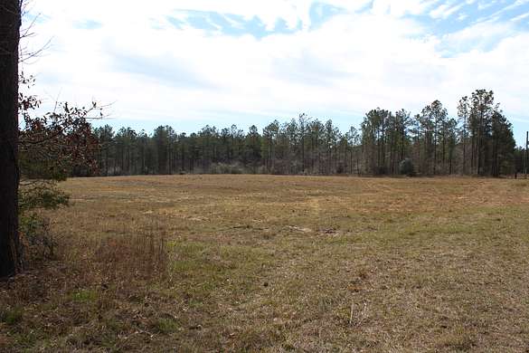 169 Acres of Recreational Land & Farm for Sale in Navasota, Texas