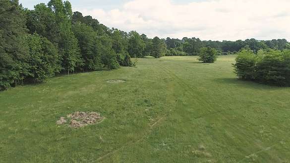 38 Acres of Recreational Land & Farm for Sale in Montgomery, Texas