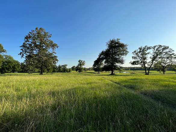 333 Acres of Land for Sale in Bedias, Texas
