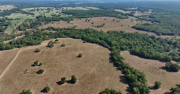 481 Acres of Recreational Land & Farm for Sale in Montgomery, Texas