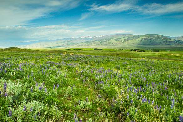 2,971 Acres of Recreational Land & Farm for Sale in Emigrant, Montana