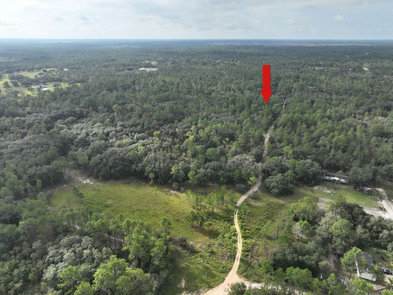 1.3 Acres of Residential Land for Sale in Morriston, Florida LandSearch