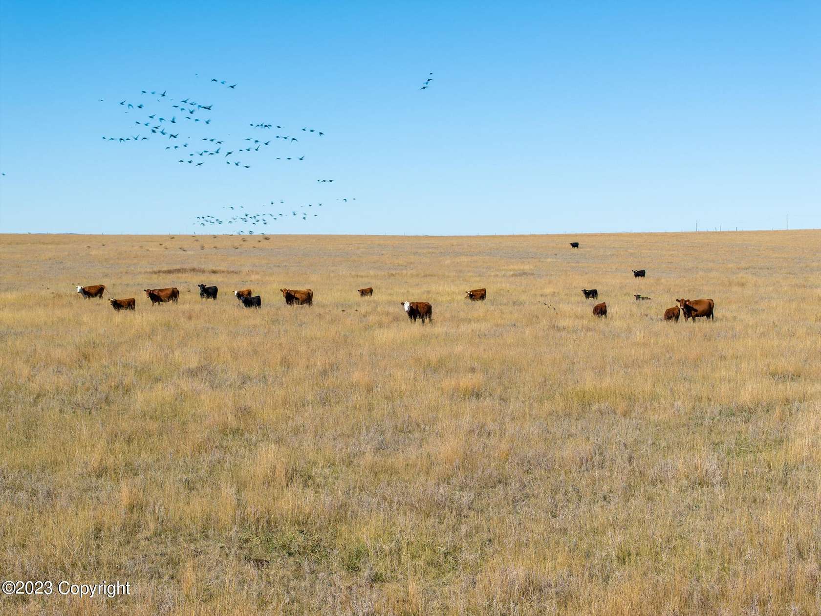 934.39 Acres of Agricultural Land with Home for Sale in Lusk, Wyoming