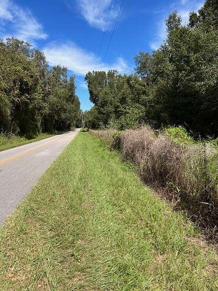 38.5 Acres of Land for Sale in Lake City, Florida