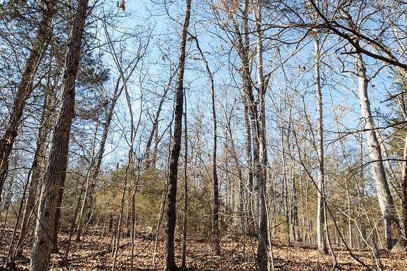 0.17 Acres of Residential Land for Sale in Kissee Mills, Missouri