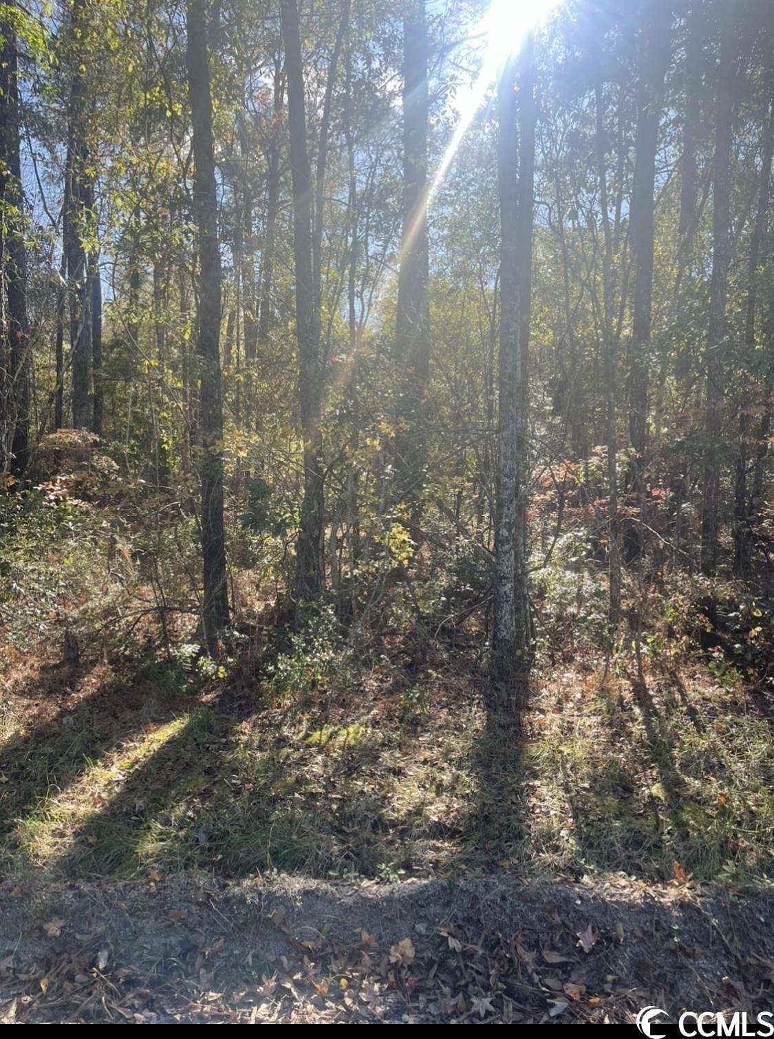 2.5 Acres of Residential Land for Sale in Nichols, South Carolina
