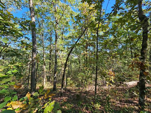 22.4 Acres of Recreational Land for Sale in Talihina, Oklahoma