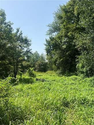 16 Acres of Recreational Land for Sale in Kosse, Texas