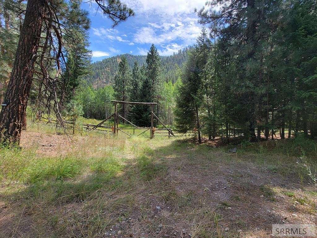 19.4 Acres of Recreational Land for Sale in Gibbonsville, Idaho