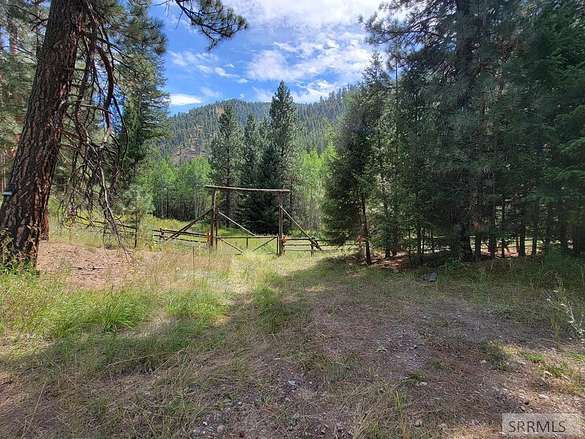 19.4 Acres of Recreational Land for Sale in Gibbonsville, Idaho