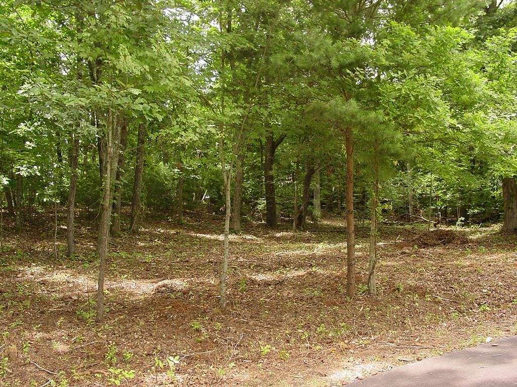 0.75 Acres of Residential Land for Sale in Hiawassee, Georgia