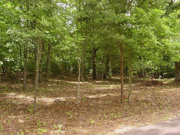 0.75 Acres of Residential Land for Sale in Hiawassee, Georgia