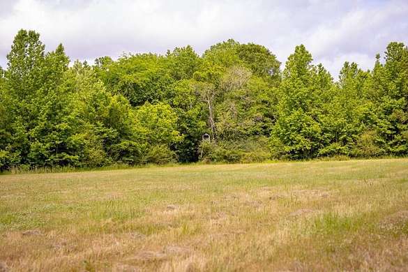 185 Acres of Recreational Land & Farm for Sale in Port Gibson, Mississippi