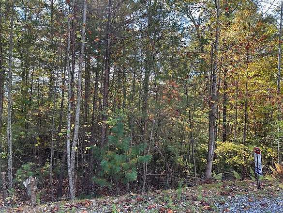0.91 Acres of Land for Sale in Murphy, North Carolina