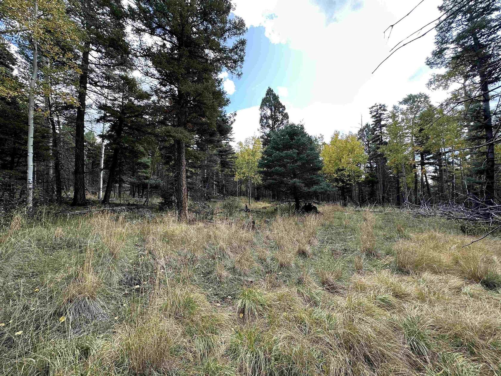 0.83 Acres of Land for Sale in Angel Fire, New Mexico
