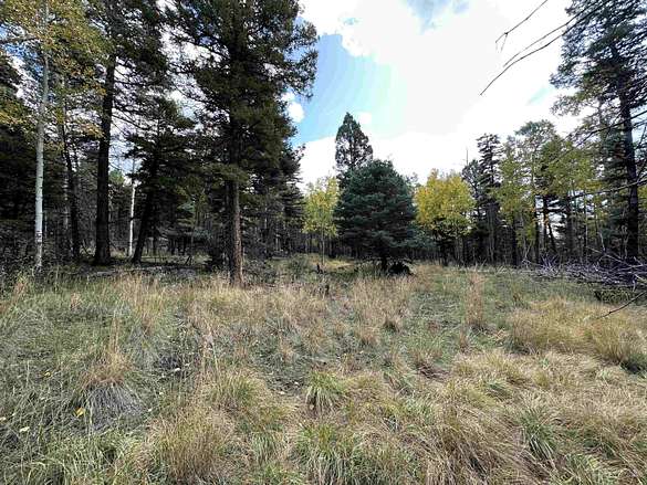 0.83 Acres of Residential Land for Sale in Angel Fire, New Mexico