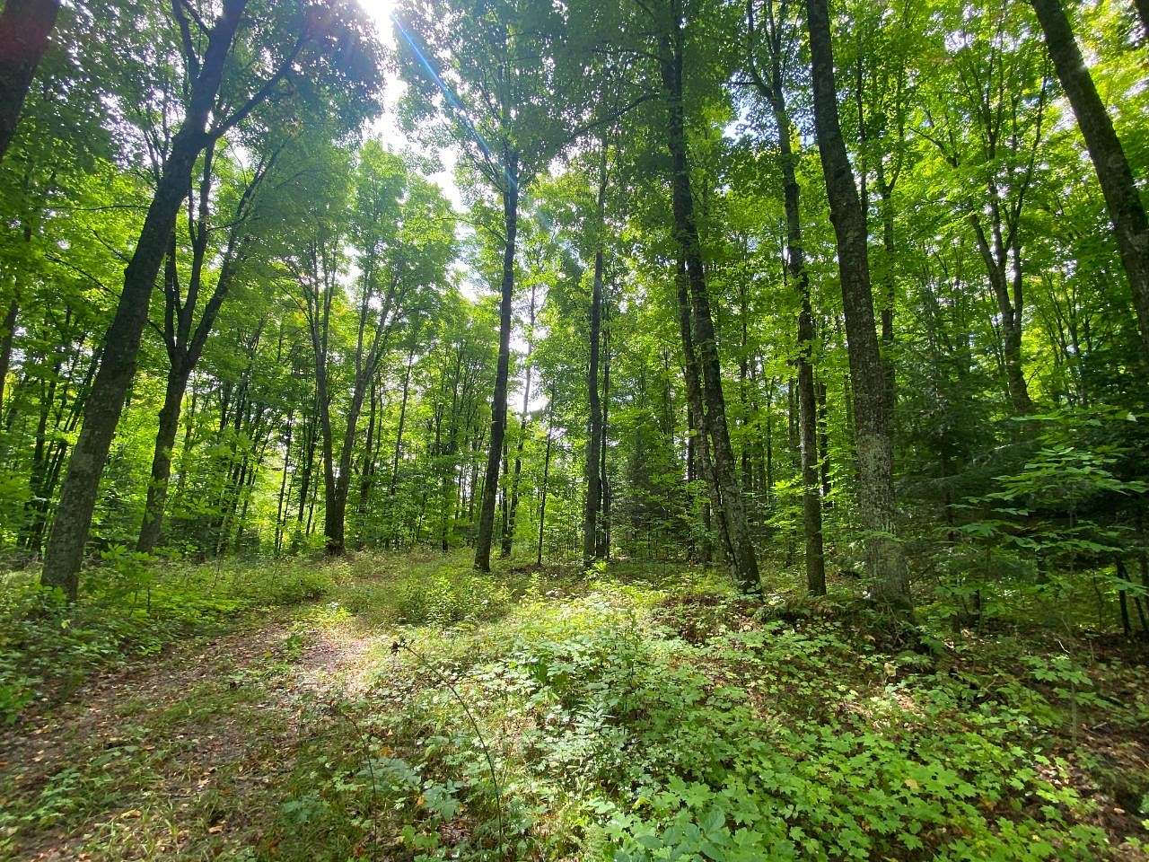 1,000 Acres of Recreational Land for Sale in Argonne, Wisconsin