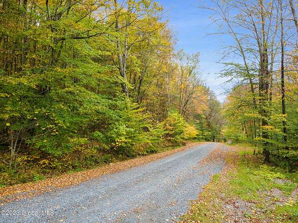 15.1 Acres of Land for Sale in Conesville, New York
