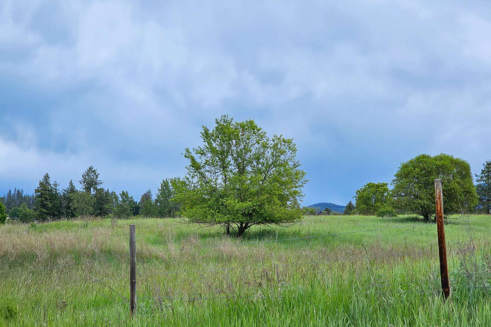 8.32 Acres of Land for Sale in Colville, Washington