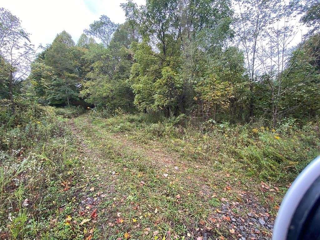 70 Acres of Recreational Land & Farm for Sale in Bandy, Virginia