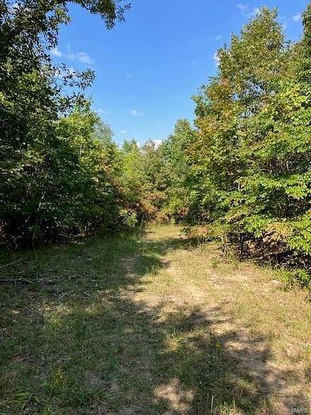 13.1 Acres of Land for Sale in Annapolis, Missouri