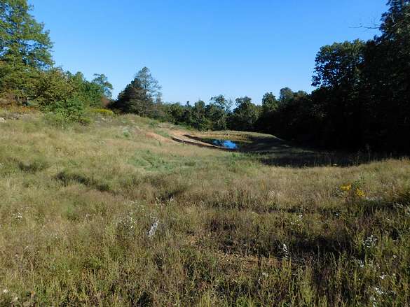 2.5 Acres of Recreational Land for Sale in Sand Gap, Arkansas