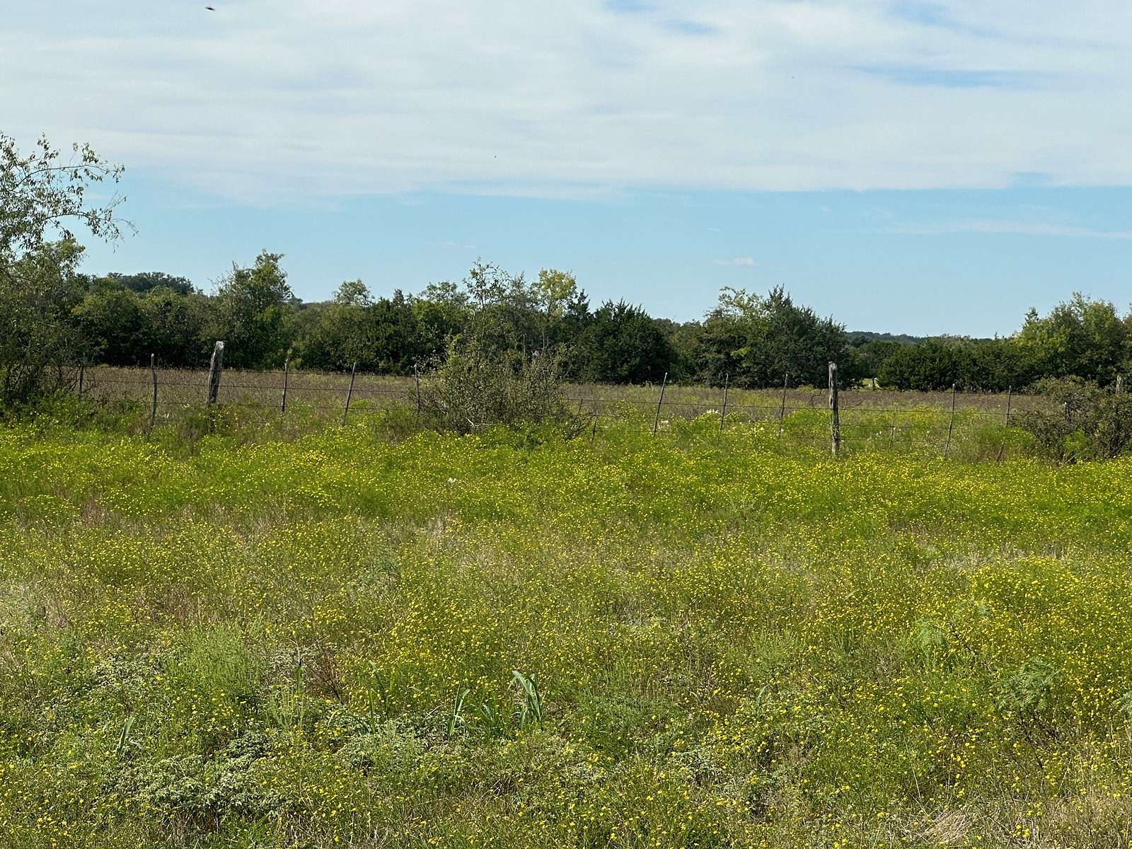 3 Acres of Land for Sale in Gatesville, Texas